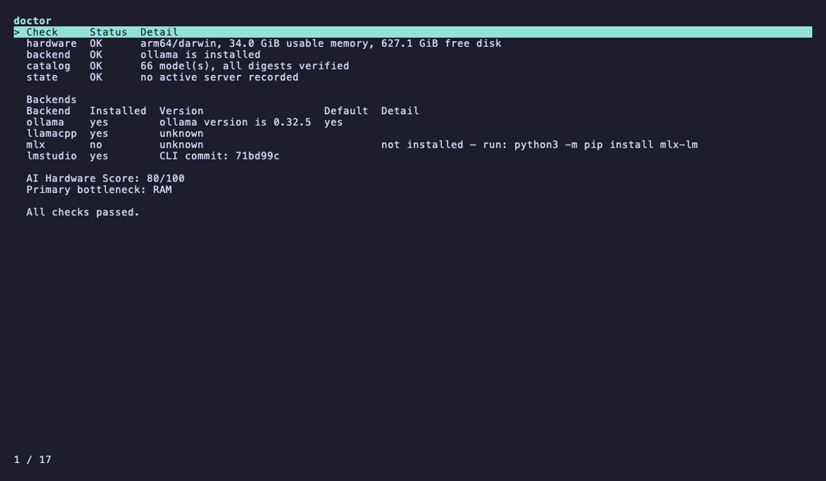 rigspark doctor terminal UI showing hardware diagnostics